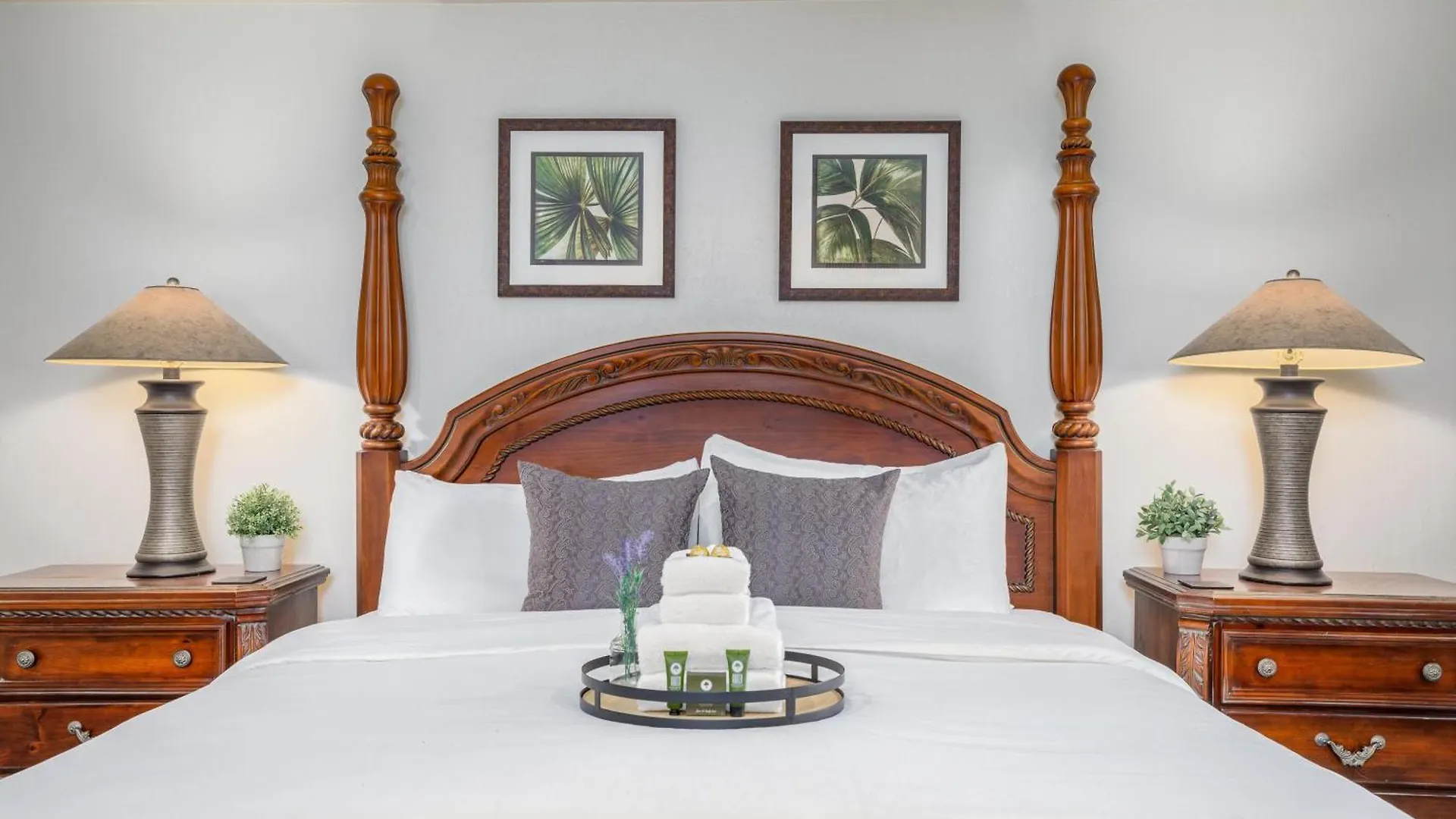 Bocce Court, Heated Pool, Spa, Putting Green, More Scottsdale